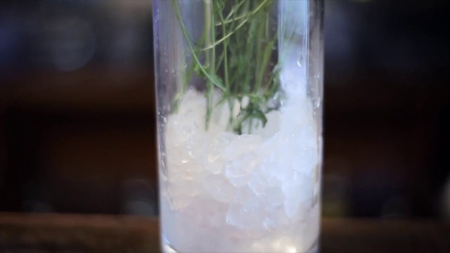 Video Reference: Tableware, Liquid, Drinkware, Plant, Cocktail, Fluid, Drink, Alcoholic beverage, Solution, Water