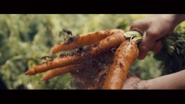 Video Reference: Food, Hand, Organism, Gesture, Ingredient, Recipe, Cuisine, Dish, Carrot, Root vegetable