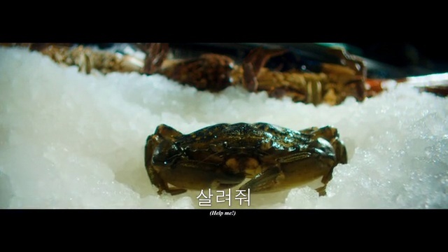 Video Reference: Frog, True frog, Arthropod, Amphibian, Decapoda, Toad, Terrestrial animal, Terrestrial plant, Crab, Crustacean