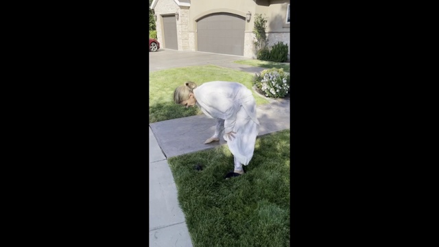 Video Reference: Plant, Sleeve, Grass, Flooring, Rectangle, Shrub, Lawn, Arch, Garden, Yard