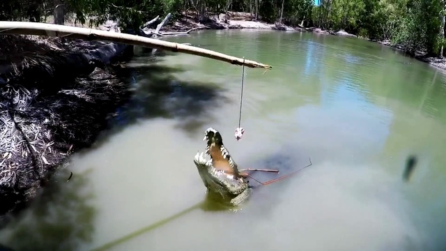 Video Reference: Water, Water resources, Plant, Fluvial landforms of streams, Natural landscape, Lake, Body of water, Grass, Watercourse, Twig