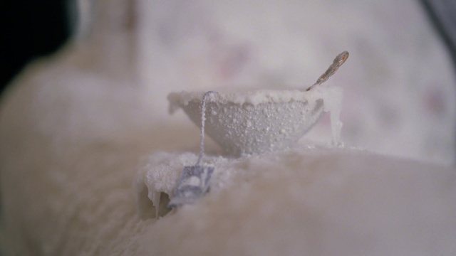 Video Reference: Snow, Snout, Freezing, Winter, Frost, Macro photography, Wood, Twig, Water, Precipitation
