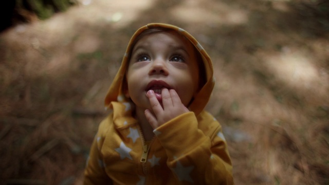 Video Reference: Face, Nose, Lip, Wood, Flash photography, Jaw, People in nature, Happy, Gesture, Grass