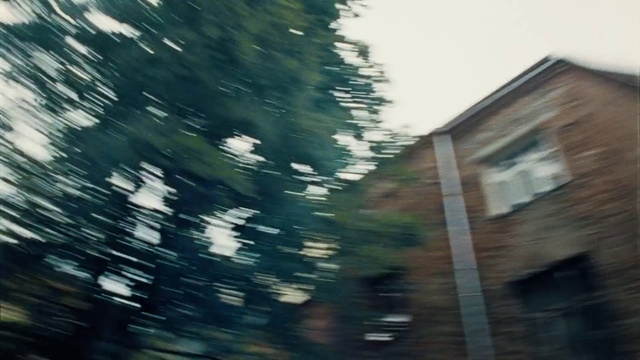 Video Reference: Sky, Branch, Wood, Automotive lighting, Tints and shades, Grass, Forest, Shade, City, Trunk