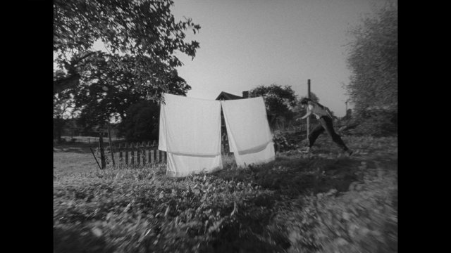 Video Reference: Plant, Tent, Sky, Shade, Black-and-white, Tree, Style, Grass, Landscape, Rural area