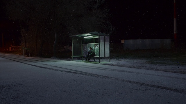 Video Reference: Road surface, Street light, Plant, Asphalt, Snow, Tints and shades, Sky, Midnight, Automotive lighting, Darkness