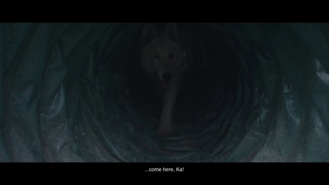 Video Reference: Eye, Flash photography, Wood, Astronomical object, Font, Art, Circle, Sky, Darkness, Landscape