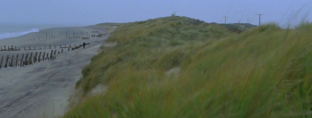 Video Reference: Sky, Plant, Slope, Terrain, Grass, Landscape, Grassland, Hill, Horizon, Wind