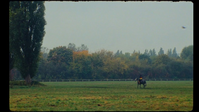 Video Reference: Horse, Sky, Plant, Ecoregion, Nature, Natural landscape, People in nature, Tree, Working animal, Atmospheric phenomenon