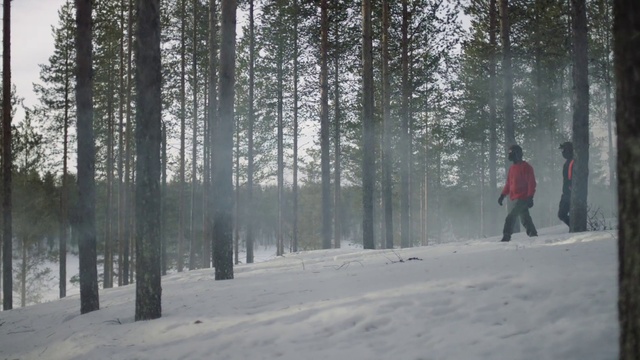 Video Reference: Sky, Snow, Plant, Tree, Natural landscape, Wood, People in nature, Atmospheric phenomenon, Freezing, Landscape