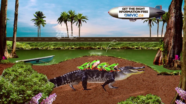 Video Reference: Sky, Water, Cloud, Plant, Green, Nature, Botany, Natural landscape, Tree, Working animal