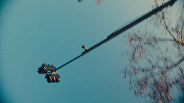 Video Reference: Sky, Daytime, Azure, Bird, Electricity, Twig, Wire, Pole, Wing, Overhead power line