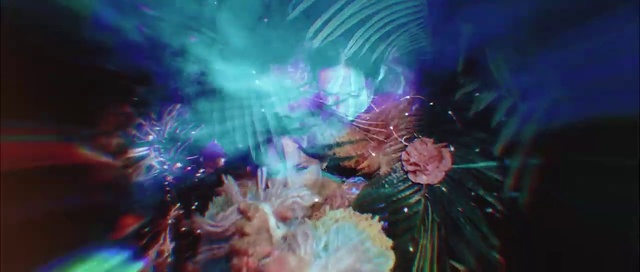 Video Reference: Underwater, Purple, Organism, Sea anemone, Water, Marine biology, Insect, Coral, Marine invertebrates, Arthropod
