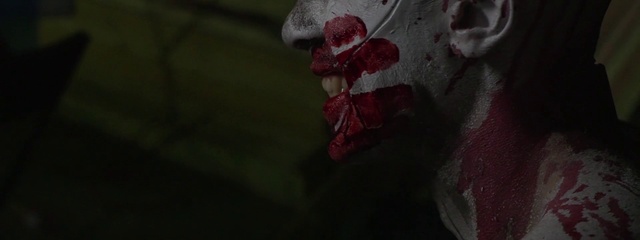 Video Reference: Petal, Twig, Plant, Terrestrial plant, Water, Tints and shades, Flower, Flowering plant, Blossom, Magenta