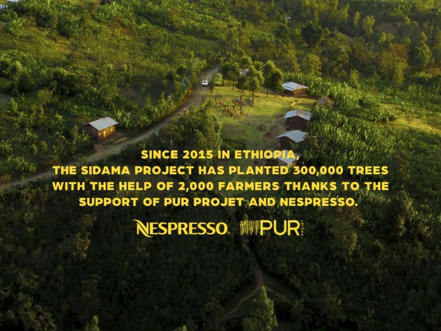 Video Reference: Plant community, Plant, Nature, Natural landscape, Land lot, Vegetation, Highland, Slope, Terrestrial plant, Grass