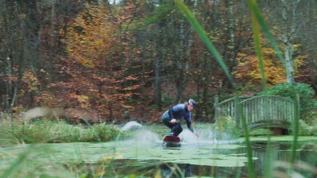 Video Reference: Plant, Water, Leaf, Sports equipment, Tree, Vegetation, Biome, Body of water, Watercourse, Grass