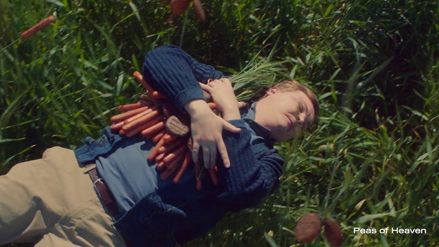 Video Reference: Plant, People in nature, Finger, Grass, Happy, Hat, Grassland, Lawn, Landscape, Fun