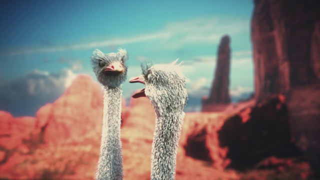 Video Reference: Sky, Cloud, Plant, Branch, Tree, Bird, Natural landscape, Grass, Landscape, Beak