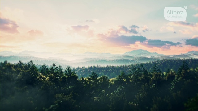 Video Reference: Cloud, Sky, Atmosphere, Natural landscape, Afterglow, Cumulus, Sunset, Sunrise, Landscape, Dusk