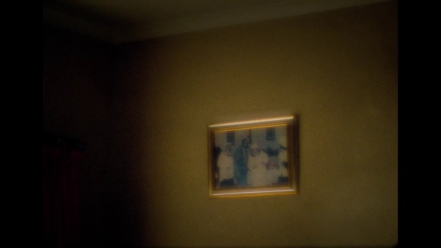 Video Reference: Paint, Wood, Rectangle, Plant, Art, Tints and shades, Tree, Hardwood, Plaster, Flooring