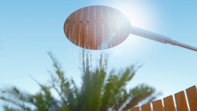 Video Reference: Sky, Cloud, Plant, Sunlight, Morning, Tree, Art, Grass, Light fixture, Sculpture
