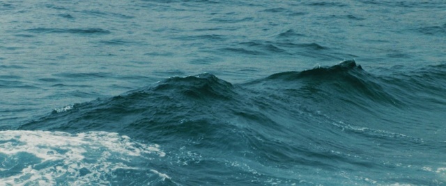 Video Reference: Water, Liquid, Fluid, Wind wave, Wind, Marine mammal, Horizon, Ocean, Wave, Lake