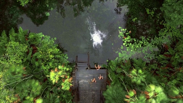 Video Reference: Water, Plant community, Plant, Light, Leaf, Natural landscape, Vegetation, Body of water, Wood, Window