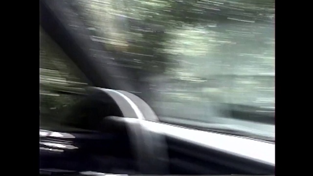 Video Reference: Automotive lighting, Water, Automotive tire, Window, Vehicle door, Motor vehicle, Plant, Wood, Sky, Automotive exterior