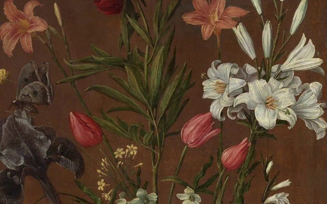 Video Reference: Plant, Flower, Petal, Nature, Branch, Textile, Creative arts, Pink, Art, Twig