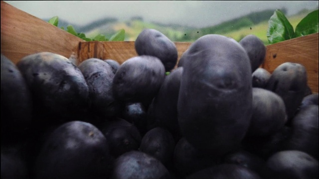 Video Reference: Food, Plant, Fruit, Seedless fruit, Natural foods, Bilberry, Vegetable, Superfood, Berry, Produce