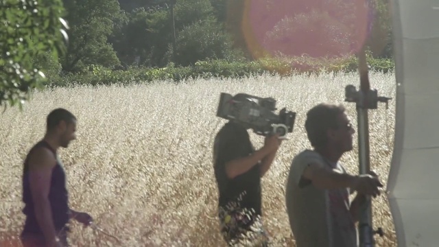 Video Reference: Plant, Grass, Tree, Working animal, Adaptation, Morning, Tints and shades, People in nature, Grass family, Landscape