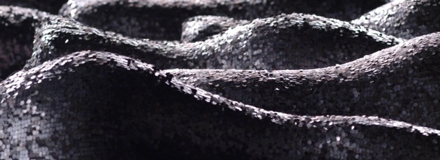 Video Reference: Scaled reptile, Automotive tire, Reptile, Wood, Terrestrial animal, Close-up, Pattern, Wildlife, Monochrome photography, Font