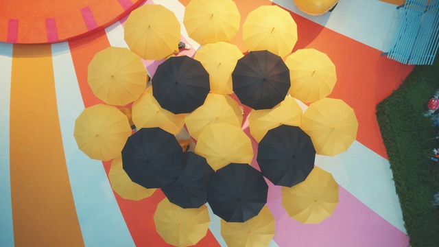 Video Reference: Petal, Textile, Art, Creative arts, Material property, Symmetry, Tints and shades, Circle, Paint, Pattern