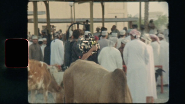 Video Reference: Working animal, Crowd, T-shirt, Event, Livestock, Landscape, Room, Tradition, Visual arts, Suit