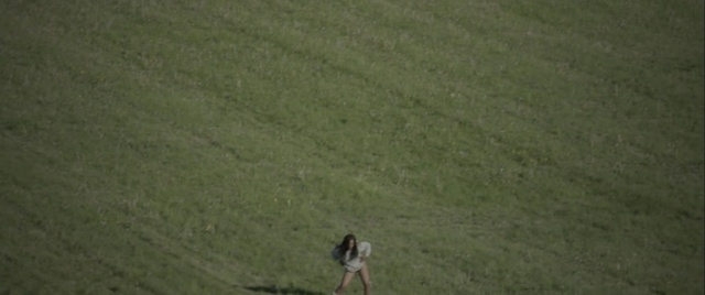 Video Reference: Slope, Terrain, Grassland, Landscape, Plain, Meadow, Grass family, Grass, Recreation, Prairie