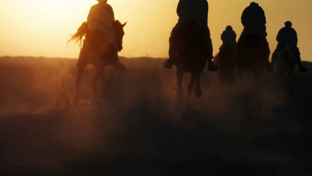 Video Reference: Sky, Vertebrate, Mammal, Gesture, Sunlight, Sunset, Sunrise, Atmospheric phenomenon, Working animal, Dusk