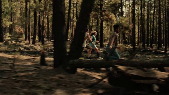 Video Reference: Plant, People in nature, Branch, Wood, Natural landscape, Trunk, Tree, Grass, Deciduous, Tints and shades