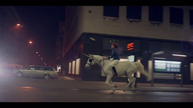 Video Reference: Horse, Light, Window, Automotive lighting, Wheel, Building, Tire, Car, Working animal, Horse supplies
