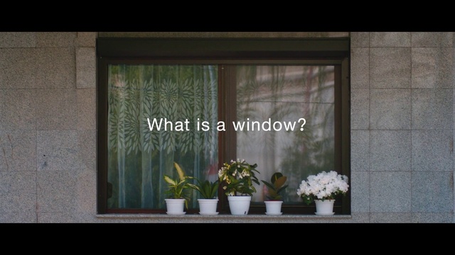 Video Reference: Plant, Flower, Window, Flowerpot, Houseplant, Fixture, Rectangle, Wood, Vase, Curtain