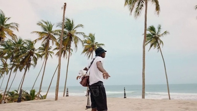 Video Reference: Water, Sky, Plant, Shorts, People on beach, Tree, Travel, Arecales, Beach, Coastal and oceanic landforms