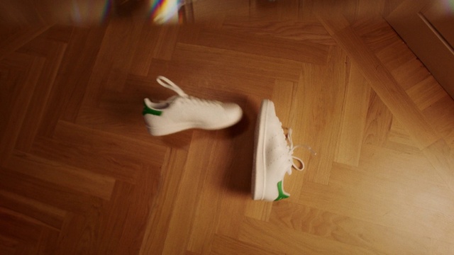 Video Reference: Wood, Mammal, Flooring, Floor, Wood stain, Fawn, Carnivore, Hardwood, Felidae, Laminate flooring