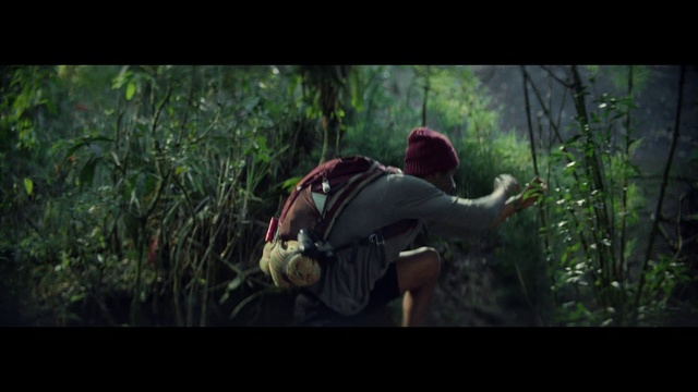 Video Reference: Plant, People in nature, Terrestrial plant, Tree, Wood, Natural landscape, Grass, Backpack, Landscape, Forest