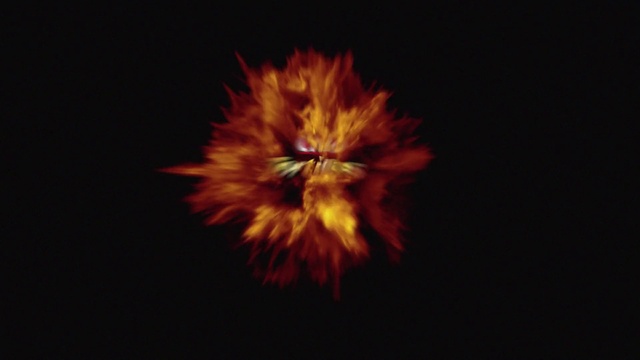 Video Reference: Midnight, Event, Darkness, Art, Recreation, Science, Petal, Symmetry, Flowering plant, Holiday