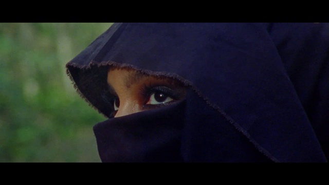 Video Reference: Eye, Cap, Eyelash, Jacket, Snout, Whiskers, Electric blue, Helmet, Fur, Beard