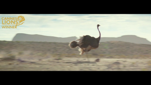 Video Reference: Sky, Cloud, Mountain, Happy, People in nature, Freestyle walking, Stunt performer, Recreation, Landscape, Balance