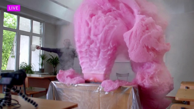 Video Reference: White, Plant, Window, Pink, Houseplant, Feather, Natural material, Magenta, Event, Table