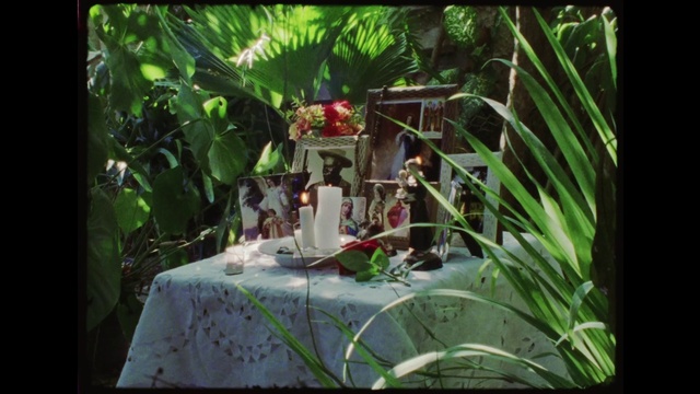 Video Reference: Plant, Table, Terrestrial plant, Wood, Grass, Chair, Fawn, Landscape, Leisure, Tablecloth