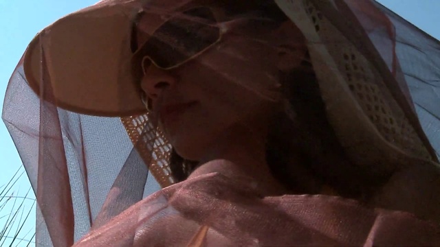 Video Reference: Hat, Sun hat, Sunglasses, Vision care, Eyewear, Wood, Fedora, Tints and shades, Art, Sculpture