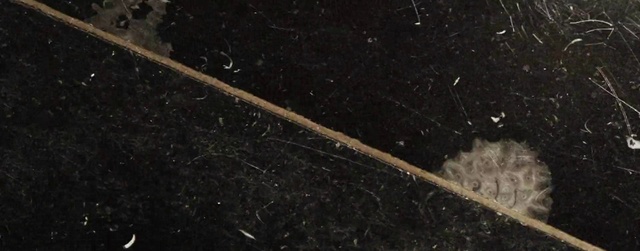 Video Reference: Natural material, Astronomical object, Grass, Road surface, Space, Asphalt, Precipitation, Soil, Science, Pattern