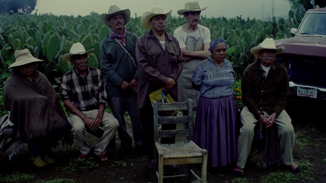 Video Reference: Plant, Hat, Natural environment, Sun hat, Sky, Headgear, Rural area, Adaptation, Fedora, Grass family